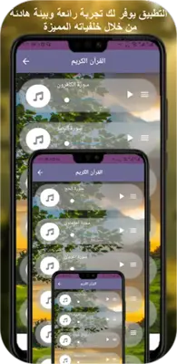 يونس اسويلص القران الكريم android App screenshot 6